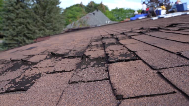 Best Commercial Roofing Services  in Glen Ridge, NJ