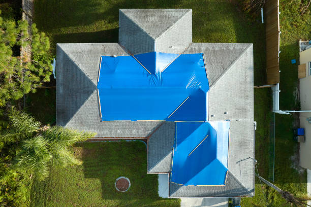 Best Roof Moss and Algae Removal  in Glen Ridge, NJ